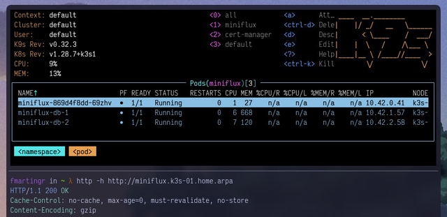 A screenshot showing the miniflux namespace in my k3s cluster with healthy pods and a request to the internal ingress endpoint showing a 200 status code